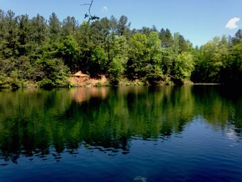 Reflection of trees in lake