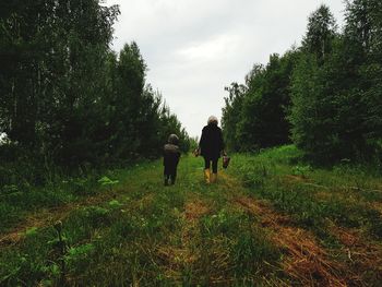 Rear view of people walking on road amidst trees