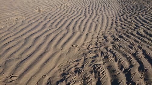 Full frame shot of sand dune