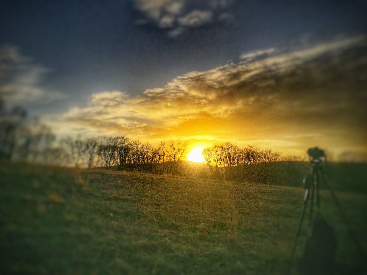 sunset, sky, nature, beauty in nature, cloud - sky, sun, tree, scenics, tranquility, no people, outdoors, day