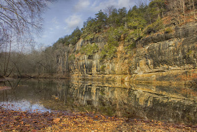 Scenic view of trees against sky