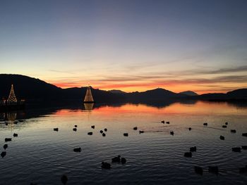 Swans swimming in sea against sky at sunset