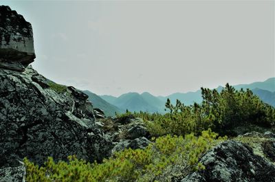 mountain
