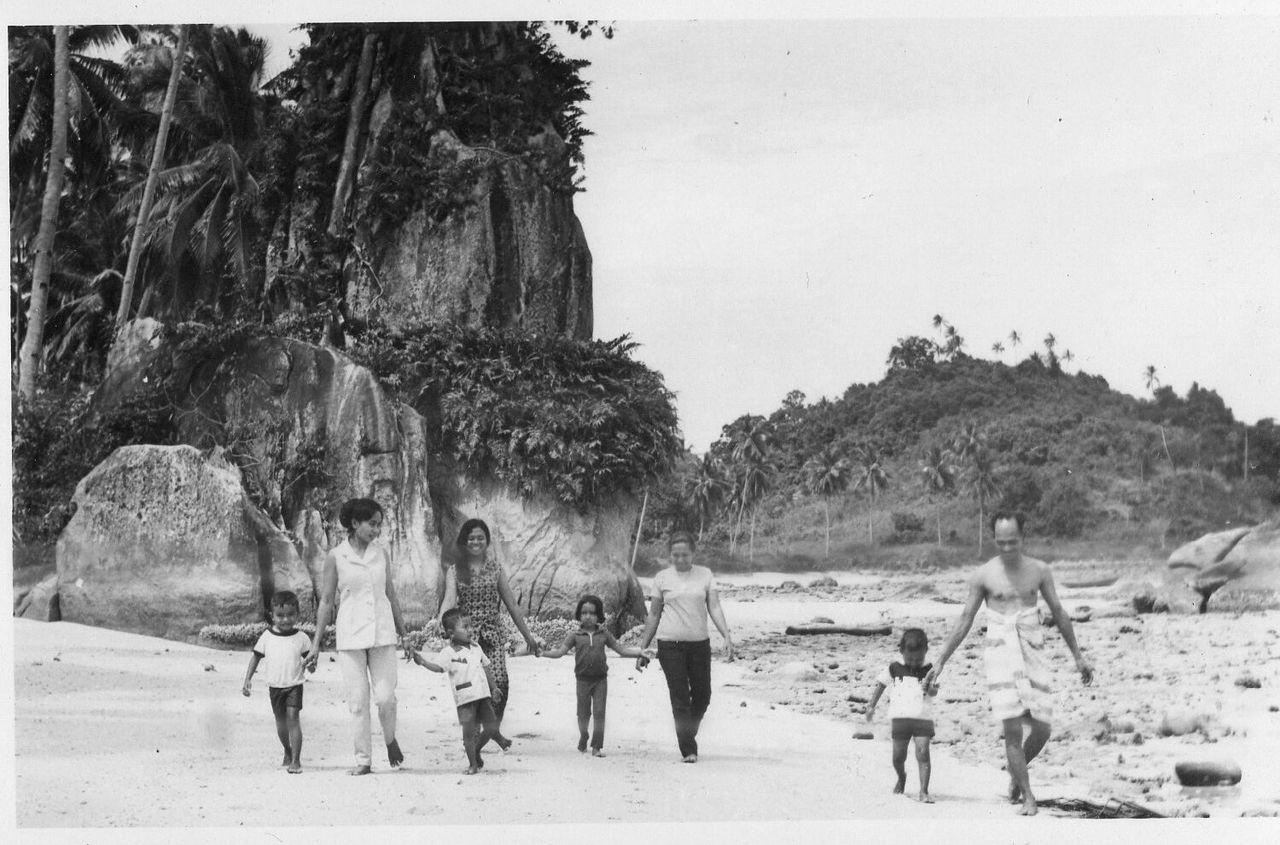 TOURISTS ON TREE