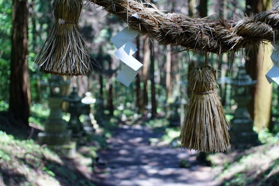 Close-up of rope tied to roof at shrine