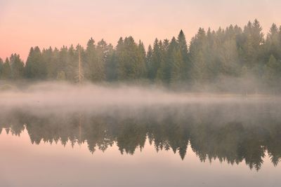 Reflection of trees in lake against sky during sunset