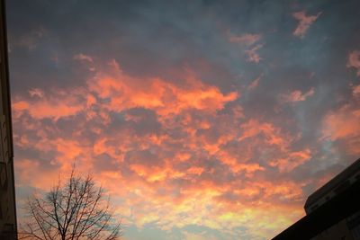 Low angle view of silhouette tree against cloudy sky