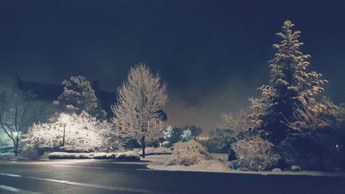 View of road along trees