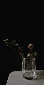 Close-up of vase on table against black background