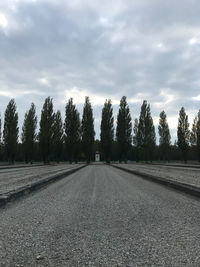 Empty road along trees and against sky