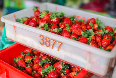 High angle view of strawberries in container