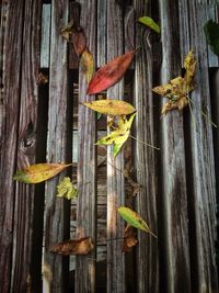 Close-up of wooden plank on wooden wall