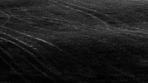 Full frame shot of field