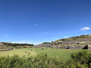 Scenic view of field against blue sky