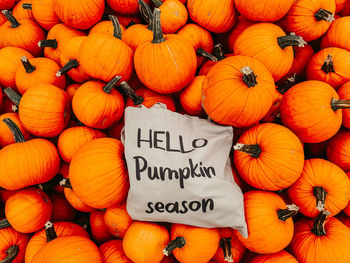 High angle view of pumpkins for sale at market stall