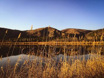 Scenic view of lake against clear sky