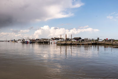 Sailboats in marina