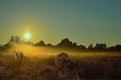 Scenic view of field against sky at sunset