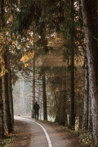 People walking in forest