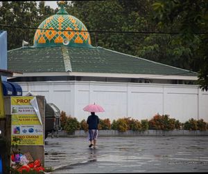 umbrella