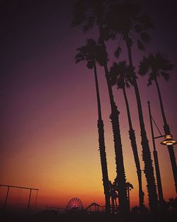 Silhouette trees against sky during sunset