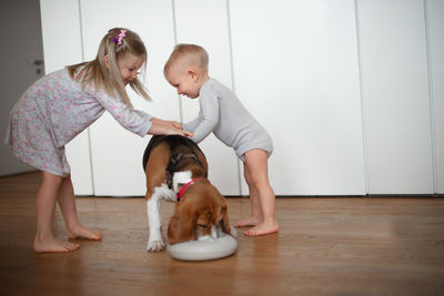 Full length of girl and baby boy playing with dog at home