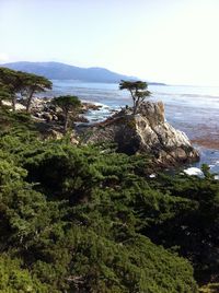 Scenic view of rock formation in sea