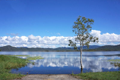 Scenic view of lake against blue sky