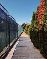 Narrow footbridge along plants and trees against sky