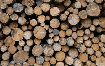 Full frame shot of logs in forest