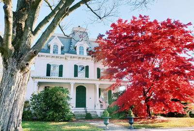 Tree by building against sky during autumn