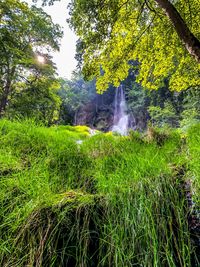 Scenic view of waterfall