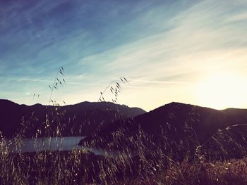 Birds on mountain against sky