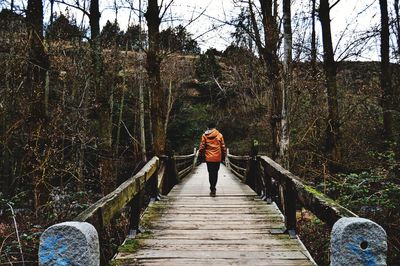 Rear view of man walking on footbridge in forest