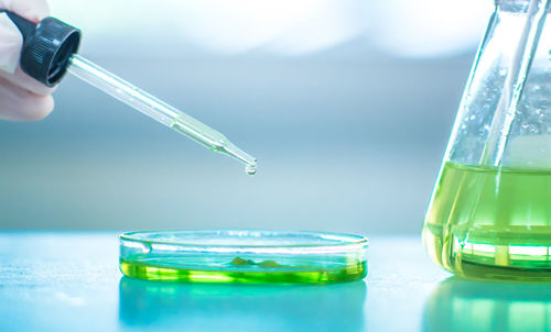 Cropped hand of scientist performing scientific experiment