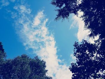 Low angle view of trees against cloudy sky