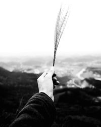 Close-up of hand holding plant against sky