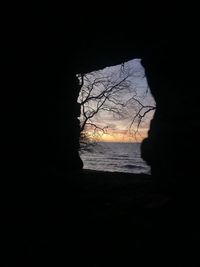 Silhouette trees by sea against sky during sunset