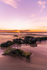 Vivid sunset on island beach hawaii