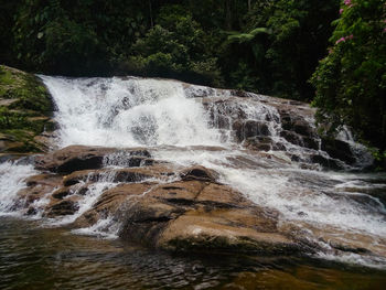 Close-up of waterfall against trees