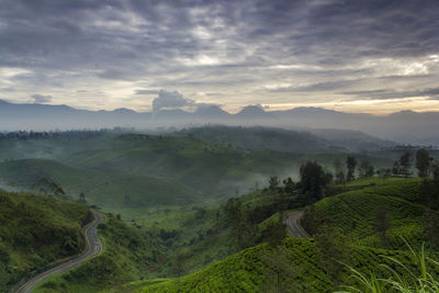 Scenic view of landscape against cloudy sky during sunset