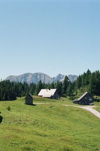 Scenic view of field against clear sky