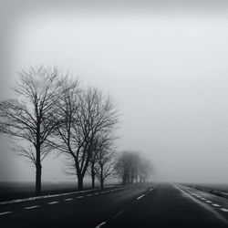 Empty road along trees