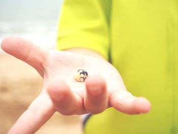 Midsection of person holding insect