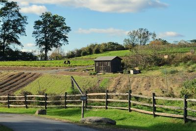 Scenic view of agricultural field against sky