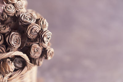 Close-up of wilted rose against blurred background