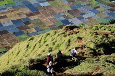 Hikers descend the hill with beautiful rice fields in the background