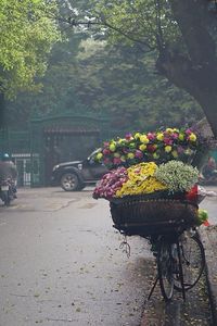 Bicycle parked on roadside