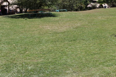 View of grassy field