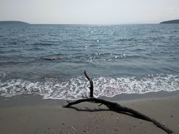 Driftwood on beach against clear sky